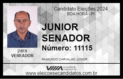 Candidato JUNIOR SENADOR 2024 - BOA HORA - Eleições