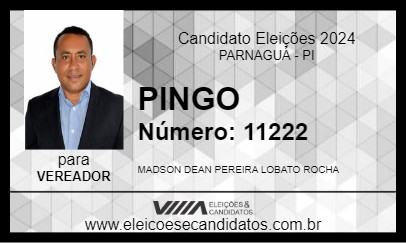 Candidato PINGO 2024 - PARNAGUÁ - Eleições