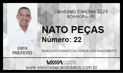 Candidato NATO PEÇAS 2024 - BOA HORA - Eleições