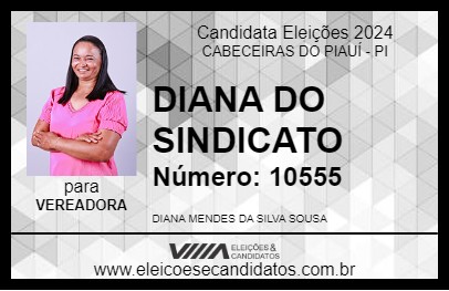 Candidato DIANA DO SINDICATO 2024 - CABECEIRAS DO PIAUÍ - Eleições