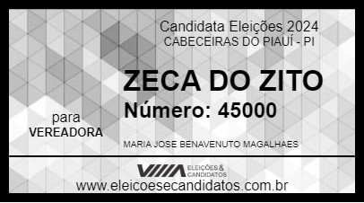 Candidato ZECA DO ZITO 2024 - CABECEIRAS DO PIAUÍ - Eleições