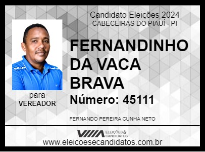 Candidato FERNANDINHO DA VACA BRAVA  2024 - CABECEIRAS DO PIAUÍ - Eleições