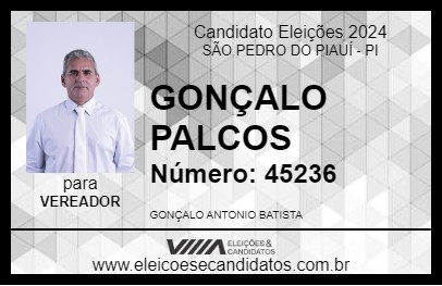 Candidato GONÇALO PALCOS 2024 - SÃO PEDRO DO PIAUÍ - Eleições