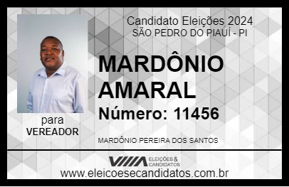 Candidato MARDÔNIO AMARAL 2024 - SÃO PEDRO DO PIAUÍ - Eleições