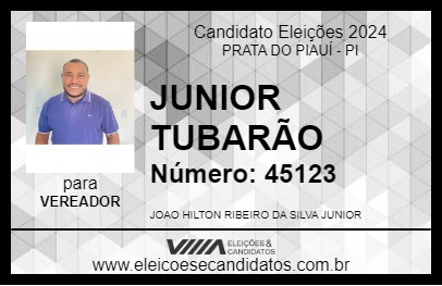 Candidato JUNIOR TUBARÃO 2024 - PRATA DO PIAUÍ - Eleições