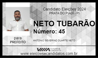 Candidato NETO TUBARÃO 2024 - PRATA DO PIAUÍ - Eleições