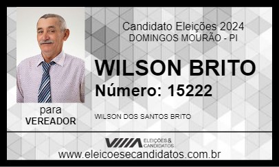 Candidato WILSON BRITO 2024 - DOMINGOS MOURÃO - Eleições