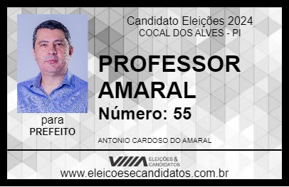 Candidato PROFESSOR AMARAL 2024 - COCAL DOS ALVES - Eleições