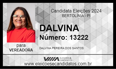 Candidato DALVINA 2024 - BERTOLÍNIA - Eleições