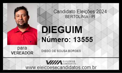 Candidato DIEGUIM 2024 - BERTOLÍNIA - Eleições