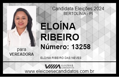 Candidato ELOÍNA RIBEIRO 2024 - BERTOLÍNIA - Eleições