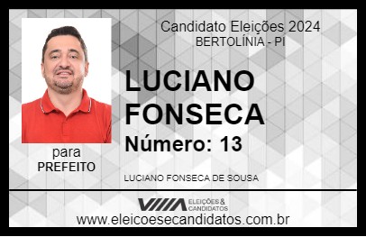 Candidato LUCIANO FONSECA 2024 - BERTOLÍNIA - Eleições