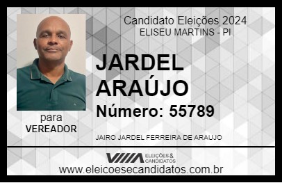 Candidato JARDEL ARAÚJO 2024 - ELISEU MARTINS - Eleições