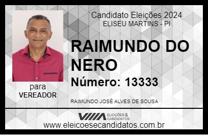 Candidato RAIMUNDO DO NERO 2024 - ELISEU MARTINS - Eleições