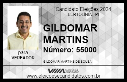 Candidato GILDOMAR MARTINS 2024 - BERTOLÍNIA - Eleições