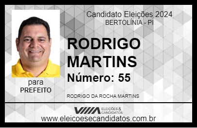 Candidato RODRIGO MARTINS 2024 - BERTOLÍNIA - Eleições