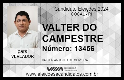 Candidato VALTER DO CAMPESTRE 2024 - COCAL - Eleições