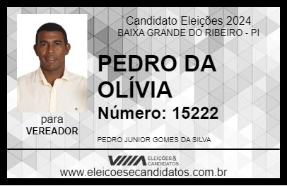 Candidato PEDRO DA OLÍVIA 2024 - BAIXA GRANDE DO RIBEIRO - Eleições