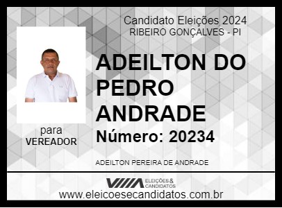 Candidato ADEILTON DO PEDRO ANDRADE 2024 - RIBEIRO GONÇALVES - Eleições