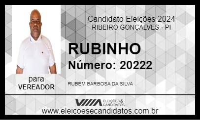 Candidato RUBINHO 2024 - RIBEIRO GONÇALVES - Eleições