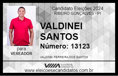 Candidato VALDINEI SANTOS 2024 - RIBEIRO GONÇALVES - Eleições