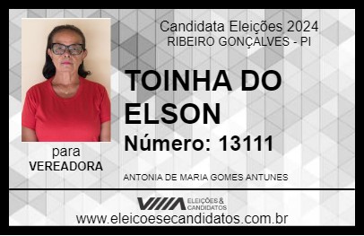 Candidato TOINHA DO ELSON 2024 - RIBEIRO GONÇALVES - Eleições