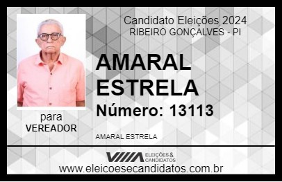 Candidato AMARAL ESTRELA 2024 - RIBEIRO GONÇALVES - Eleições