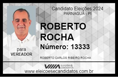 Candidato ROBERTO ROCHA 2024 - PARNAGUÁ - Eleições