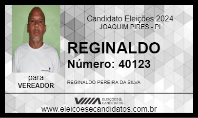 Candidato REGINALDO 2024 - JOAQUIM PIRES - Eleições