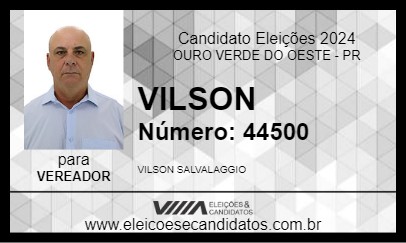 Candidato VILSON 2024 - OURO VERDE DO OESTE - Eleições