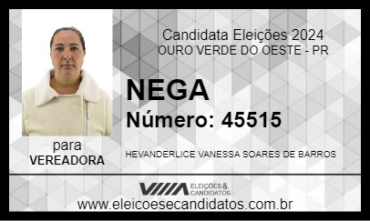 Candidato NEGA 2024 - OURO VERDE DO OESTE - Eleições