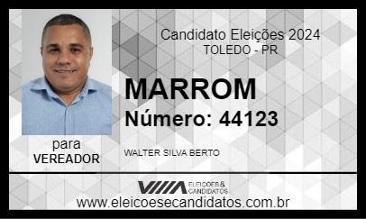 Candidato MARROM 2024 - TOLEDO - Eleições