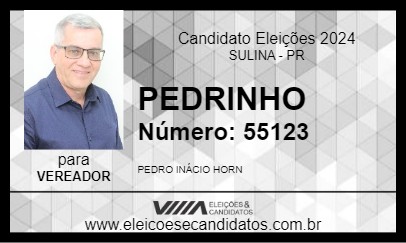 Candidato PEDRINHO 2024 - SULINA - Eleições