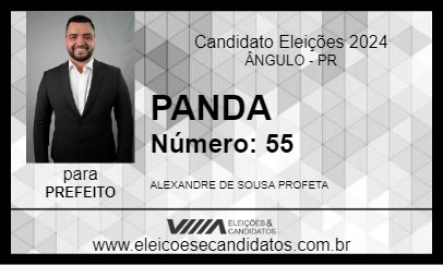 Candidato PANDA 2024 - ÂNGULO - Eleições