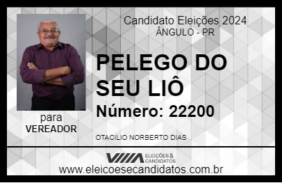 Candidato PELEGO DO SEU LIÔ 2024 - ÂNGULO - Eleições