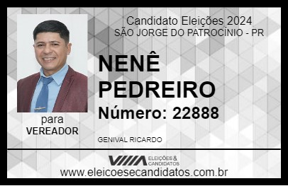 Candidato NENÊ PEDREIRO 2024 - SÃO JORGE DO PATROCÍNIO - Eleições