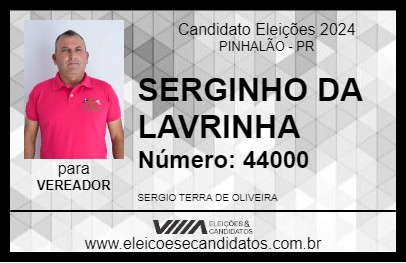 Candidato SERGINHO DA LAVRINHA 2024 - PINHALÃO - Eleições