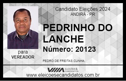 Candidato PEDRINHO DO LANCHE 2024 - ANDIRÁ - Eleições