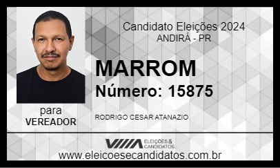 Candidato MARROM 2024 - ANDIRÁ - Eleições