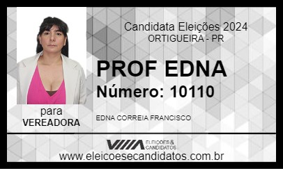 Candidato PROF EDNA 2024 - ORTIGUEIRA - Eleições