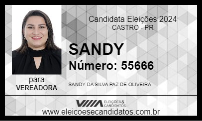 Candidato SANDY 2024 - CASTRO - Eleições