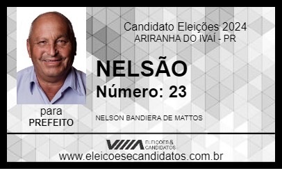 Candidato NELSÃO 2024 - ARIRANHA DO IVAÍ - Eleições