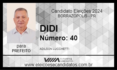 Candidato DIDI 2024 - BORRAZÓPOLIS - Eleições