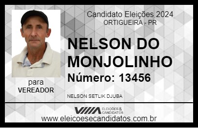 Candidato NELSON DO MONJOLINHO 2024 - ORTIGUEIRA - Eleições