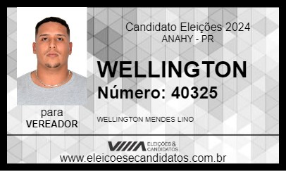 Candidato WELLINGTON 2024 - ANAHY - Eleições