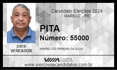 Candidato PITA 2024 - MARILUZ - Eleições