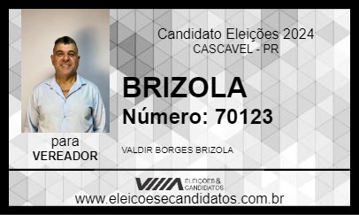 Candidato BRIZOLA 2024 - CASCAVEL - Eleições