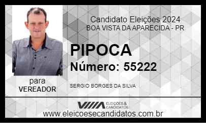 Candidato PIPOCA 2024 - BOA VISTA DA APARECIDA - Eleições