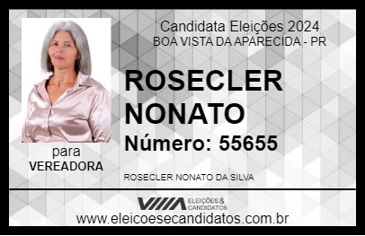 Candidato ROSECLER NONATO 2024 - BOA VISTA DA APARECIDA - Eleições