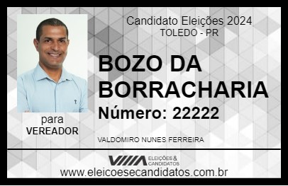 Candidato BOZO DA BORRACHARIA 2024 - TOLEDO - Eleições